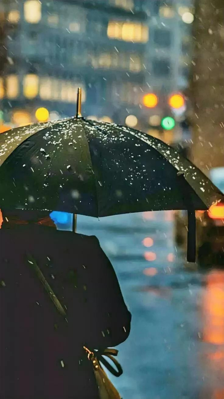 人到了一定年龄, 要学会自己撑伞, 不会有人冒着大雨来接你.