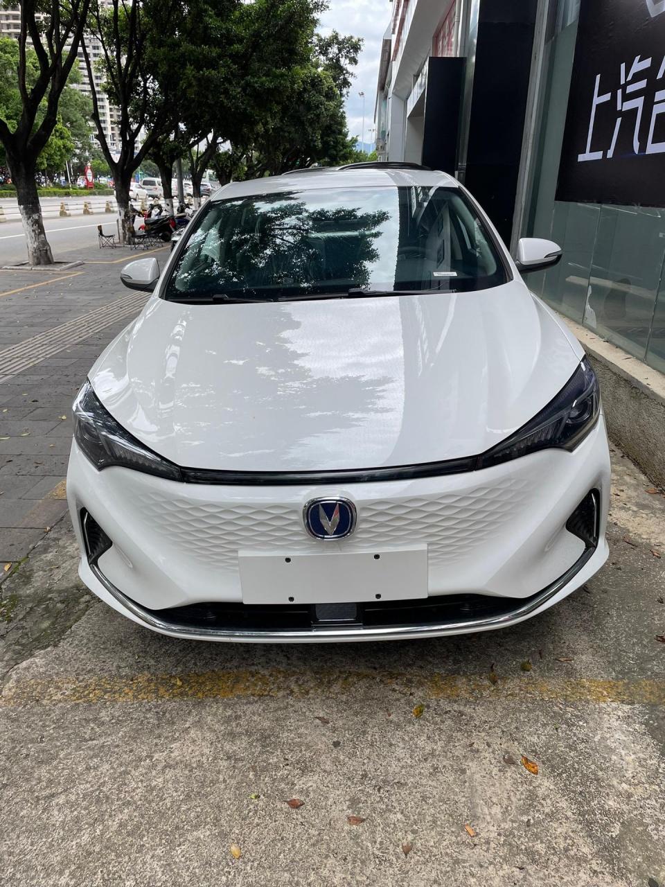 2022款长安逸动ev460智行网约版,指导价149900,续航401km,磷酸铁锂