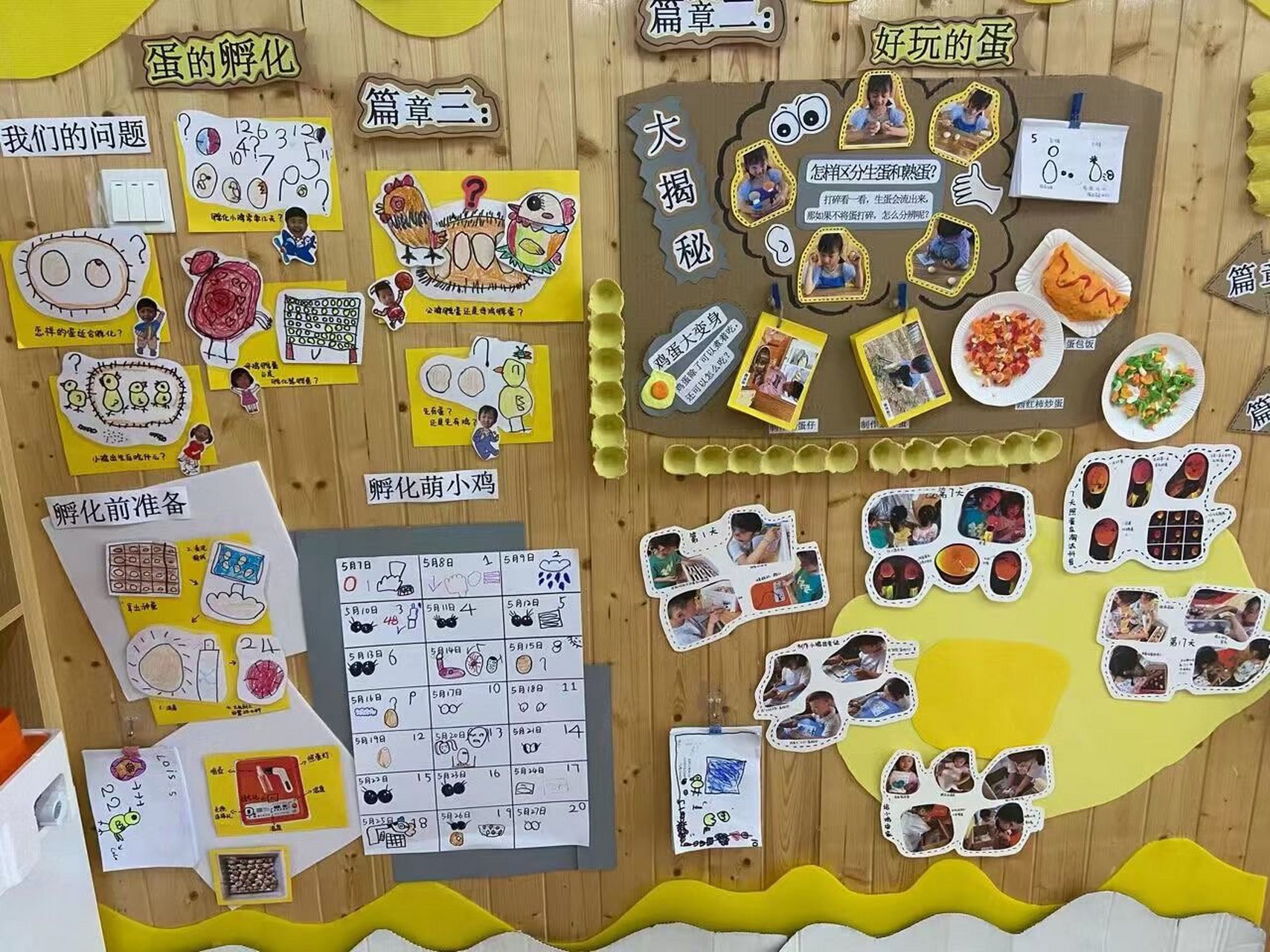 幼儿园主题墙环创"奇妙的蛋"