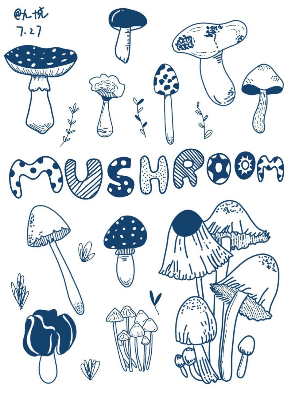 黑白简笔画|零基础手绘|蘑菇96 #一颗橘子手绘打卡#day3 各种各样的