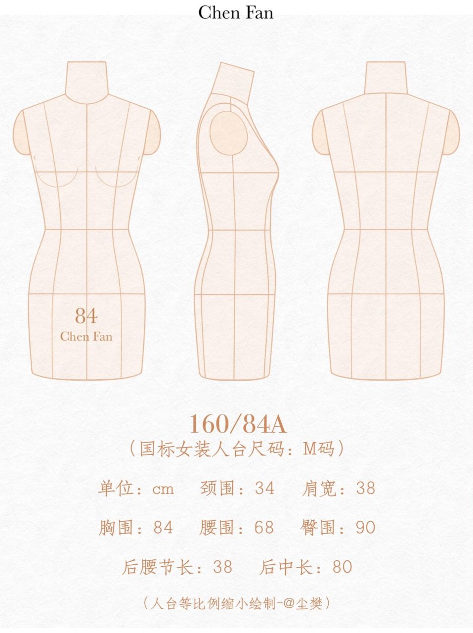 78:服装人台-女体半身,等比例缩小绘制… 160/84a(国标女装人台尺码