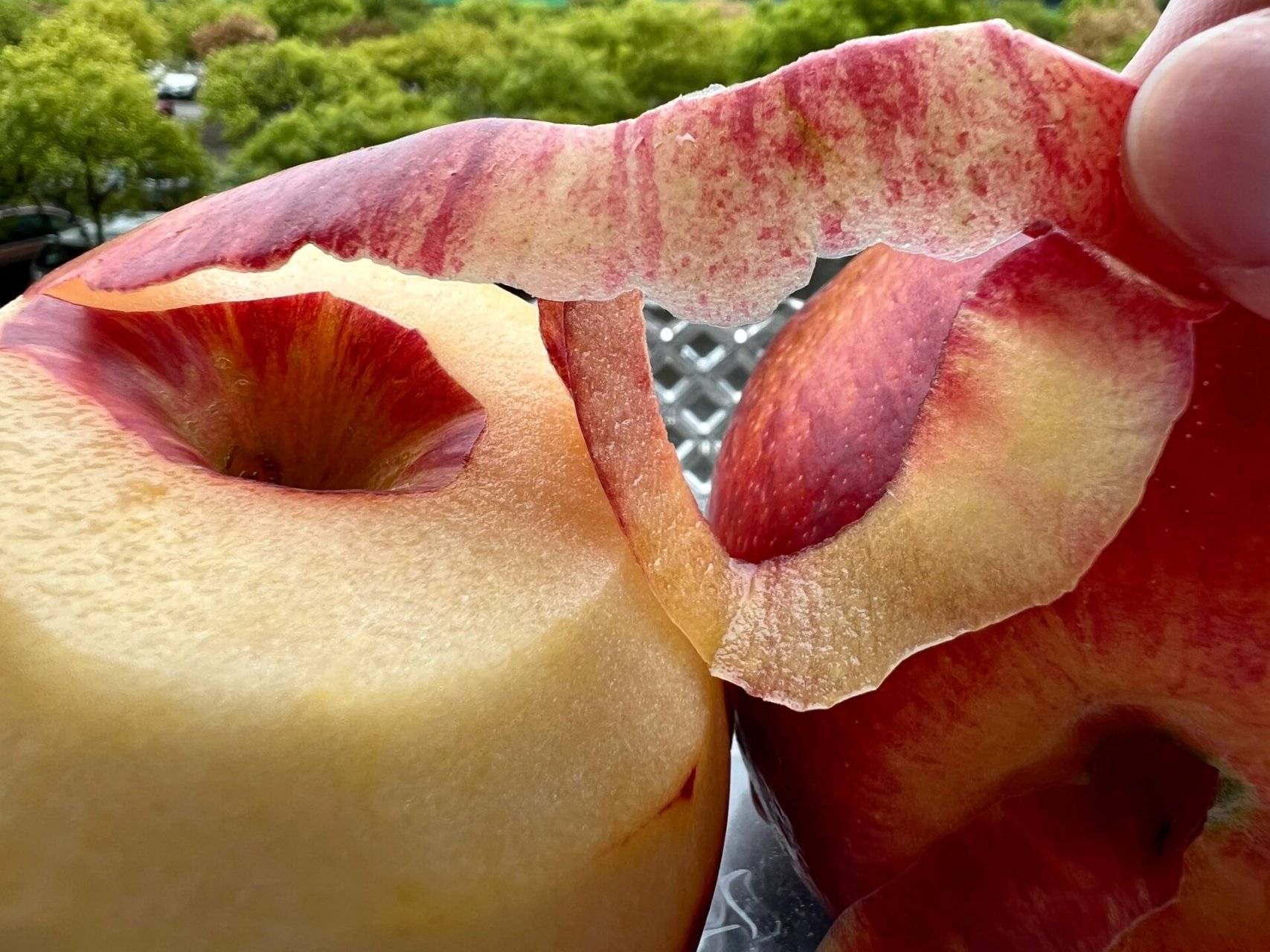 高原小金苹果96,生长在海拔2500米,日晒充足,皮薄肉脆,皮是真的很薄