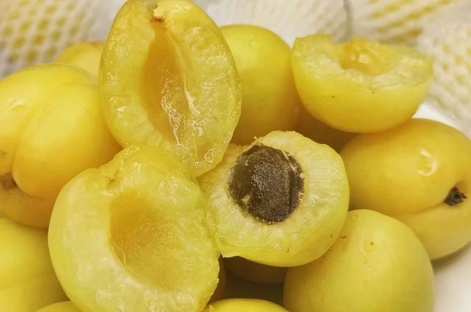 新疆水果 小白杏 营养价值和神奇的功效有哪些?