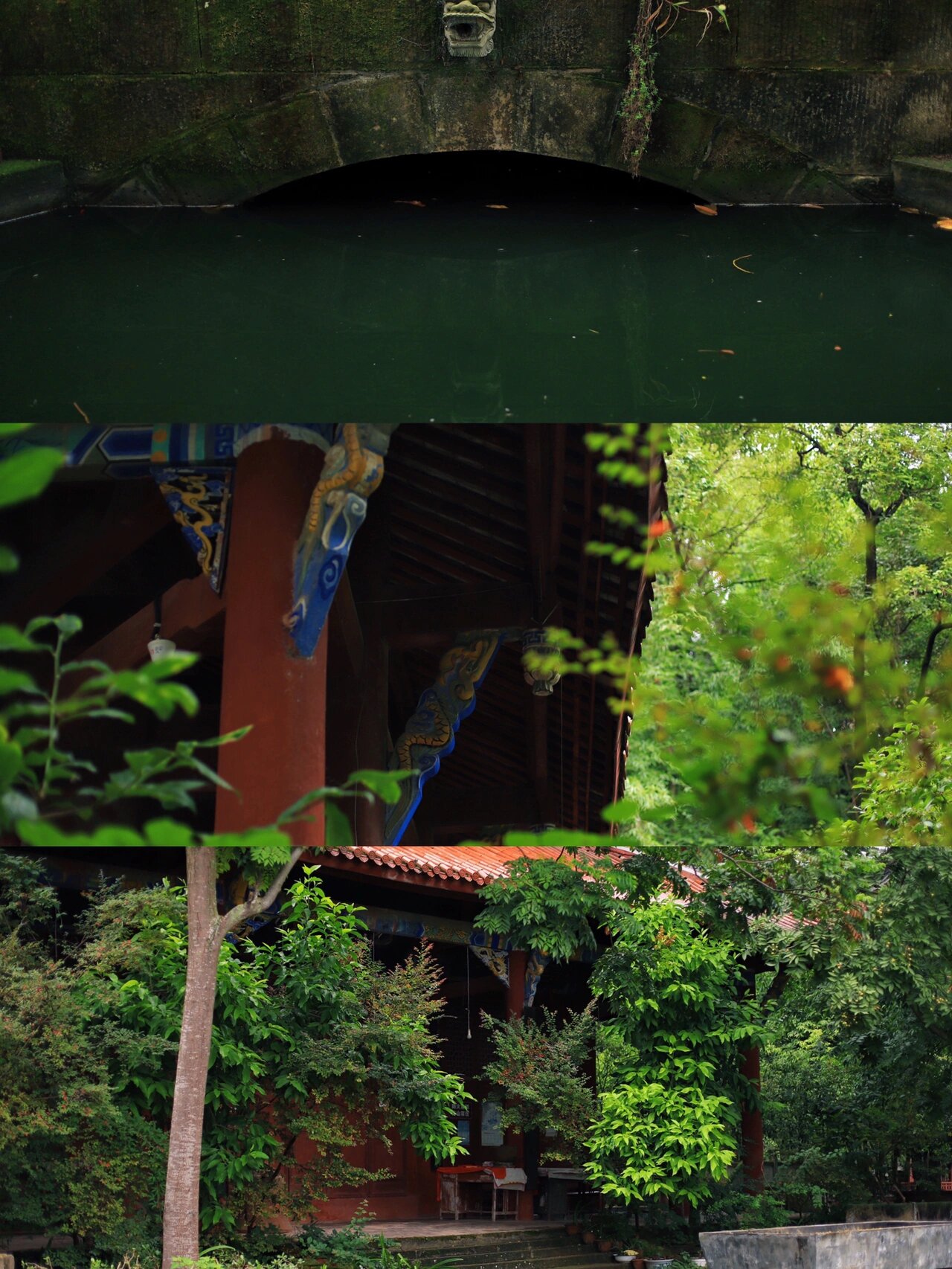 绵阳三台:琴泉寺 95时间:2022.9.
