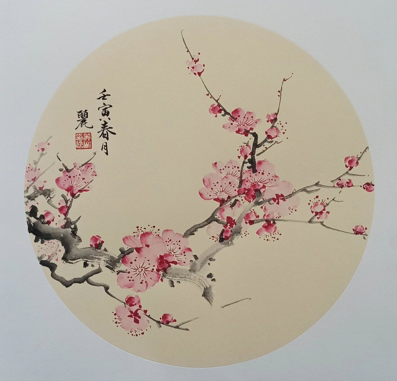梅花小品 画枝干,要先留好花的位置,点花,要有各种姿态,注意疏密聚散.