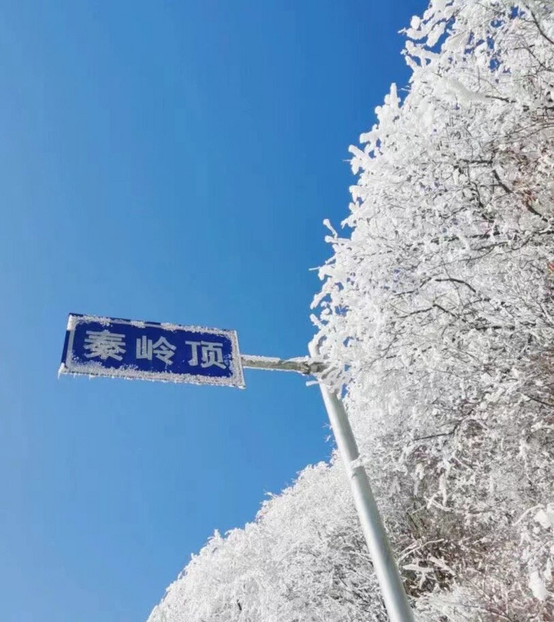 西安市区看秦岭图片