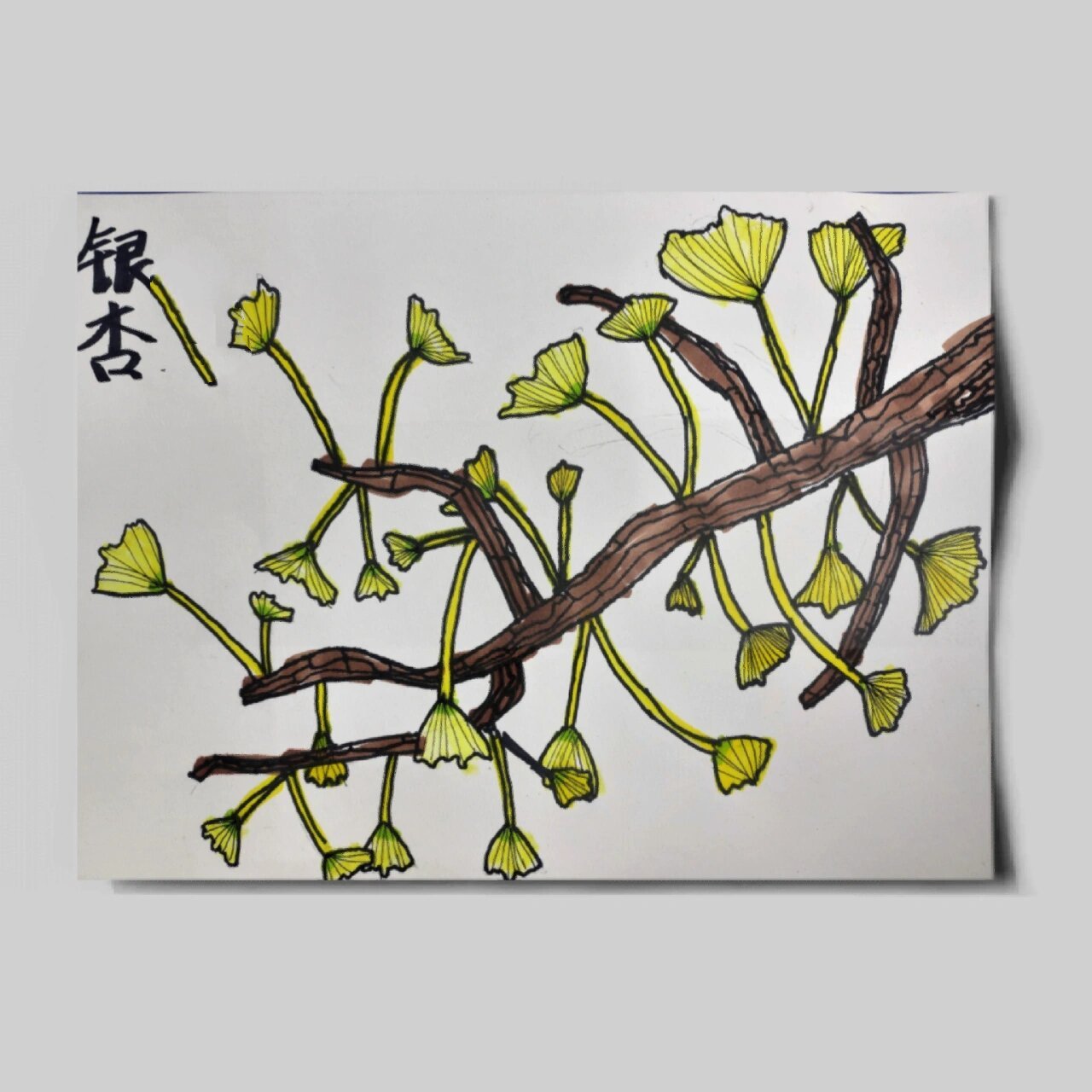儿童画 | 银杏树