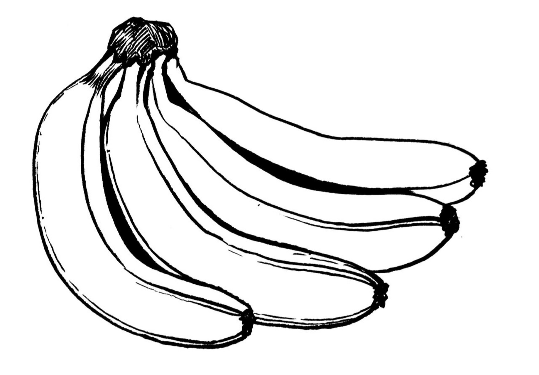 《香蕉写生》 适合年龄:8岁以上 绘画工具:铅笔,橡皮,勾线笔,素描纸