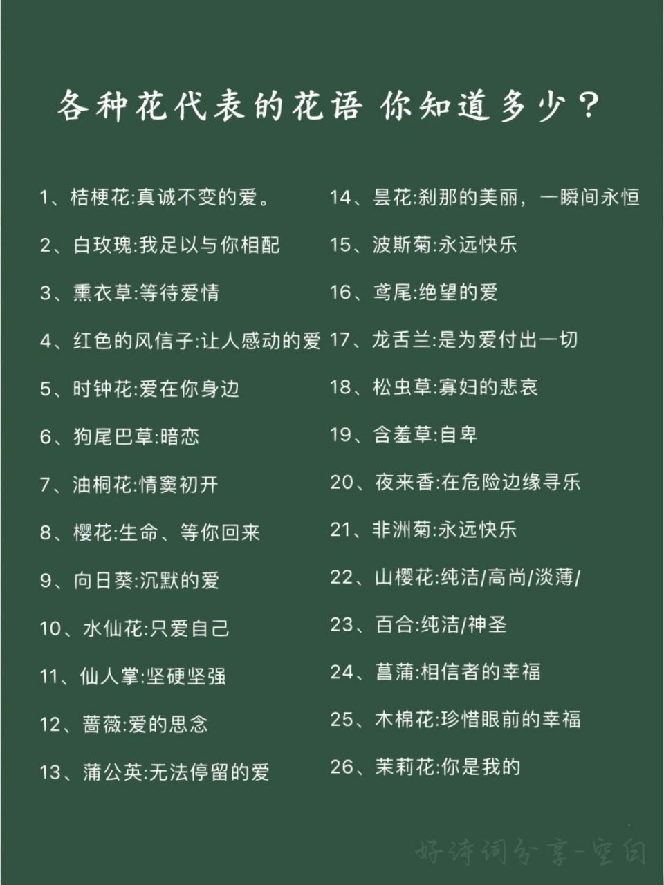 好词好句积累/各种花代表的花语 #花语# #素材# #好词好句积累# #花语