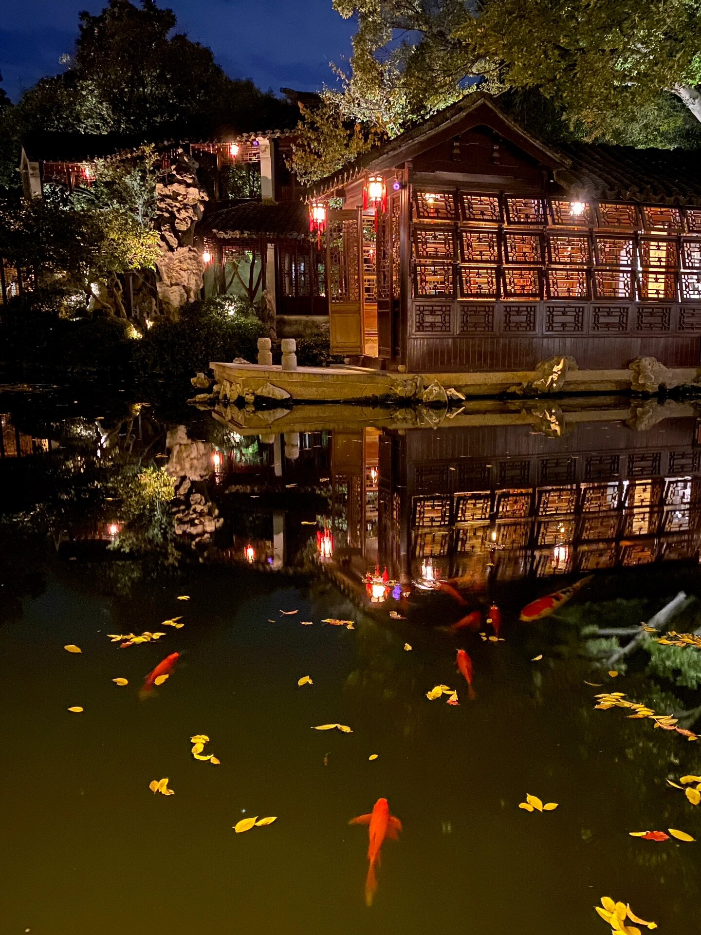 同里古镇退思园夜景