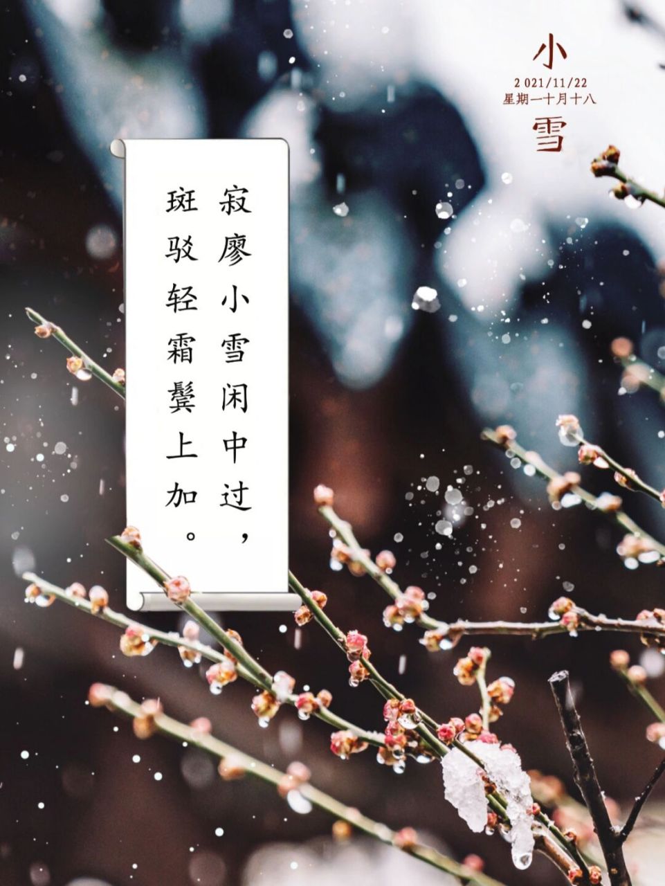 诗词摘抄 | 小雪闲中过 最美小雪诗词 小雪,是二十四节气中的第20个