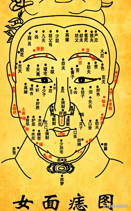 苏元为李婉解读了她的面相,指出了她具有"旺夫益子"的特质