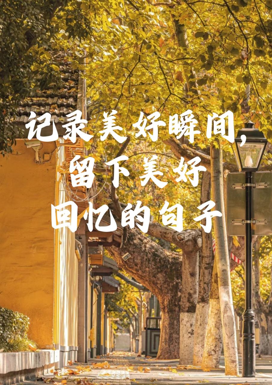 记录美好瞬间,留下美好回忆的句子 91 用镜头捕捉,让瞬间永恒.