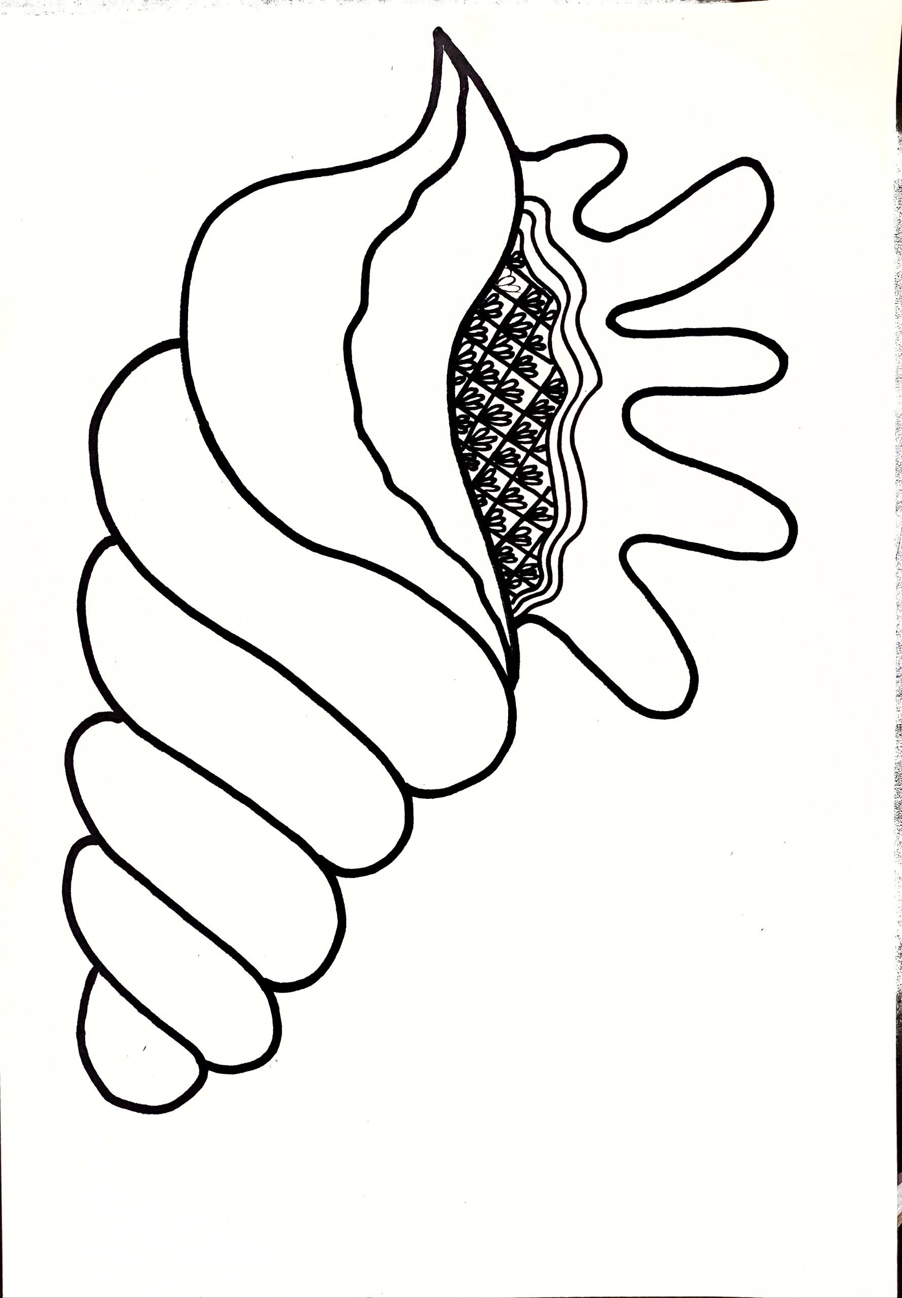 《海螺》儿童画