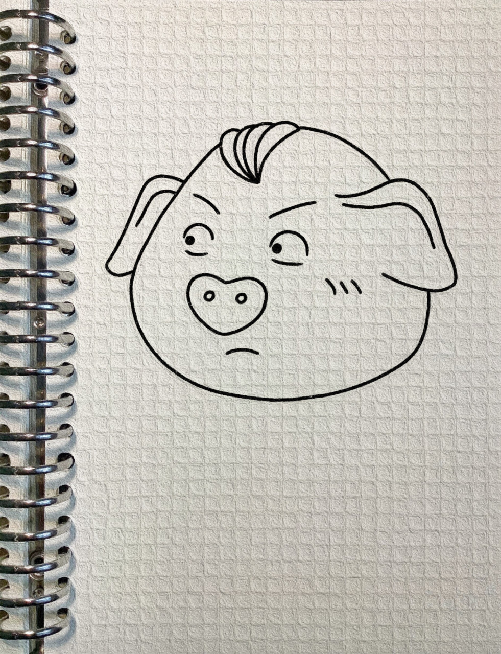 猪屁登绘画图片
