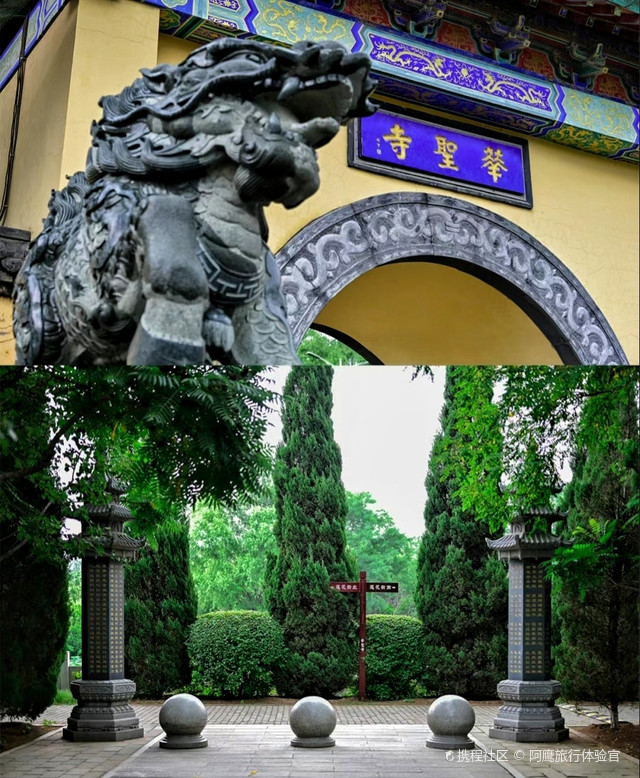 沈阳绝美赏荷地一华圣寺