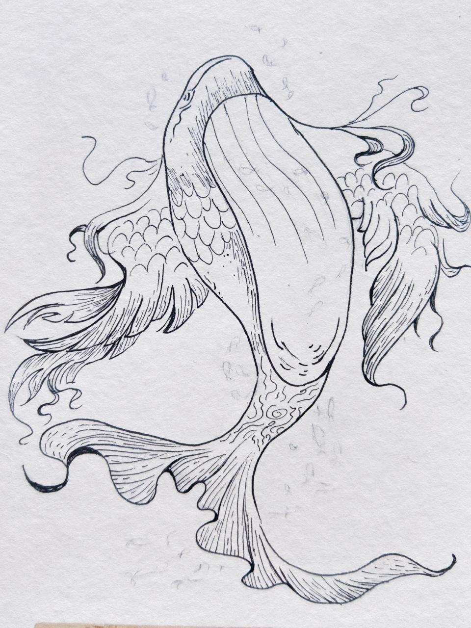 鲲鹏|超越自我 今天画的是, 中国古代神话《山海经》中的神兽,鲲鹏