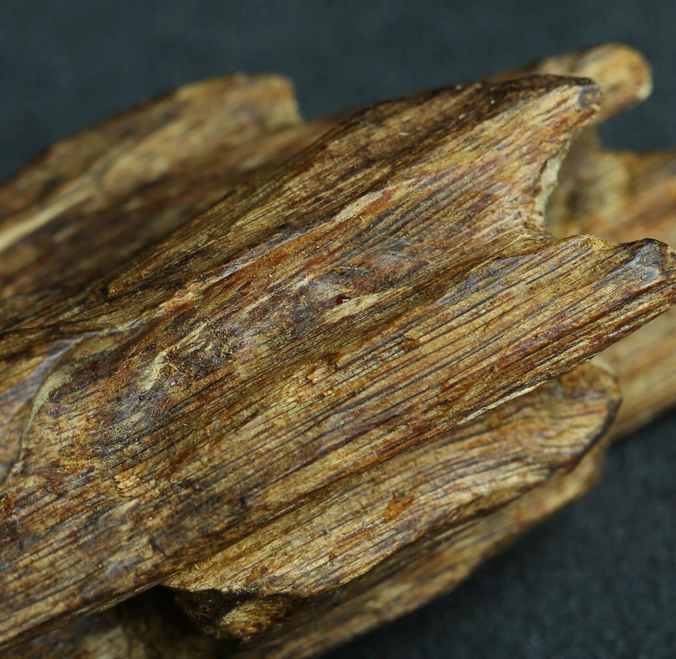 顶级奇楠沉香,真是可遇不可求90 奇楠之珍贵,不仅是香道闻香之极品