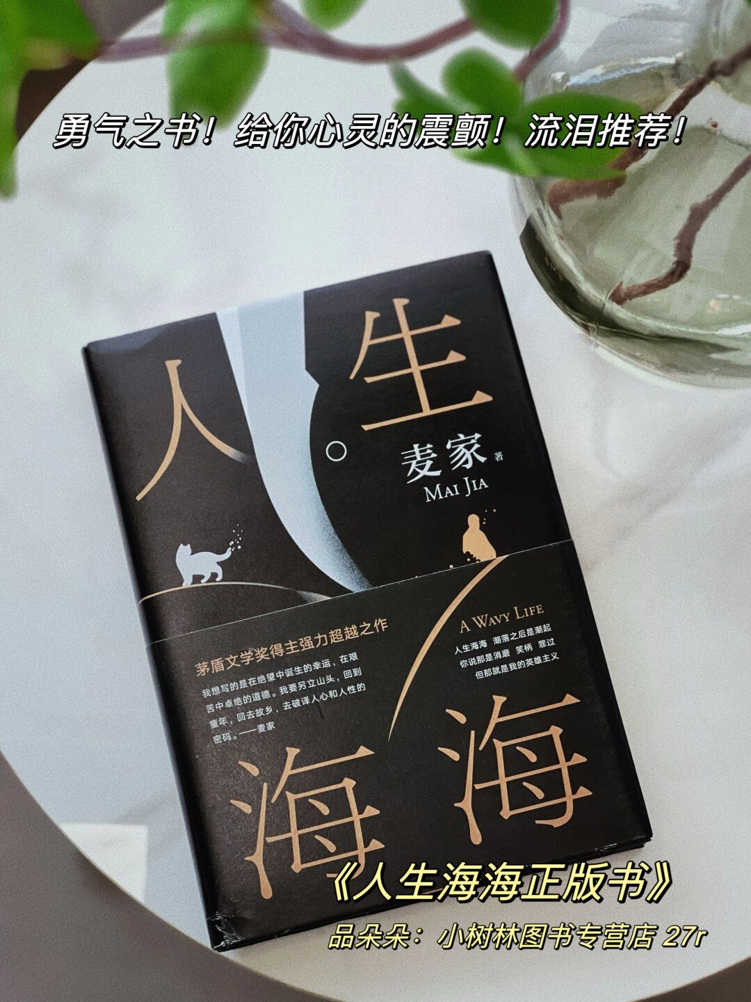 无意中发现印象深刻的几本书都是黑金的封面设计