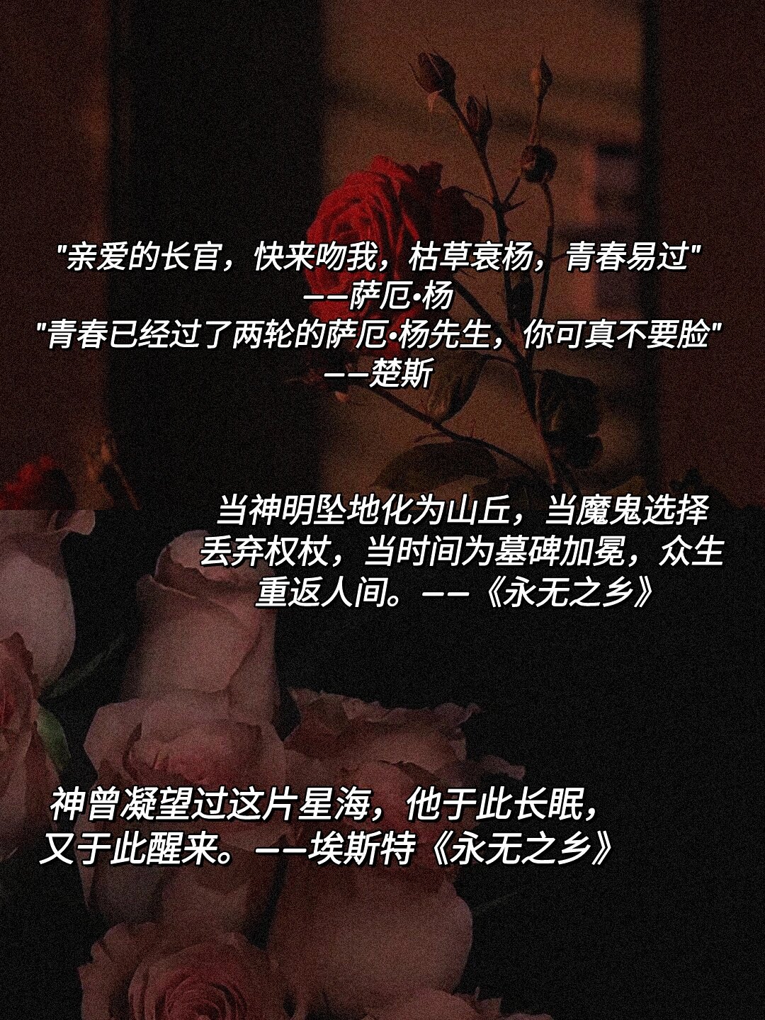 90木苏里《黑天》经典语录