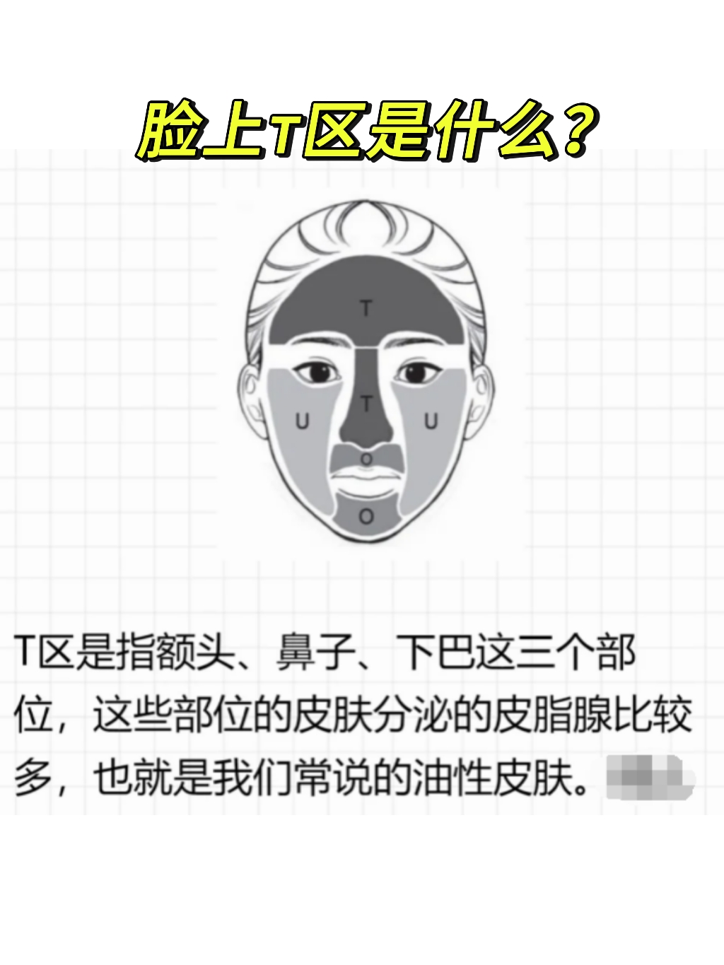 脸上的t区指的是额头,鼻子和下巴这一块地方