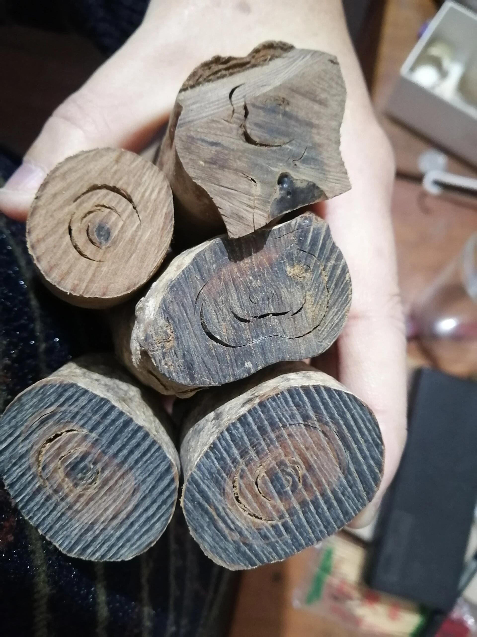 海柳不是黑珊瑚更不是动物 请看图中海柳原料的横断面有明显的年轮圈