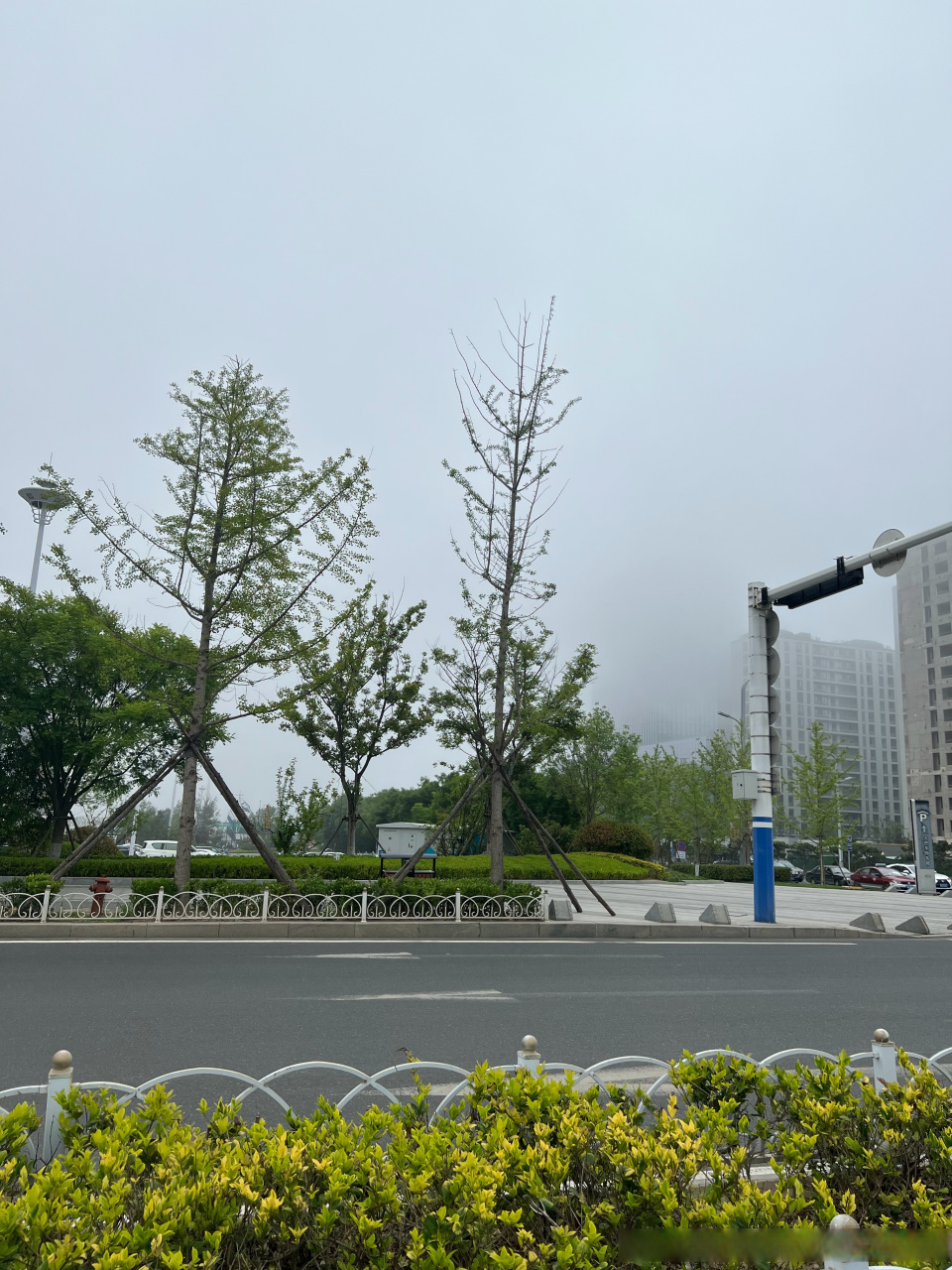 前有雨神萧敬腾 后有雾神李桥舟  勒是雾都