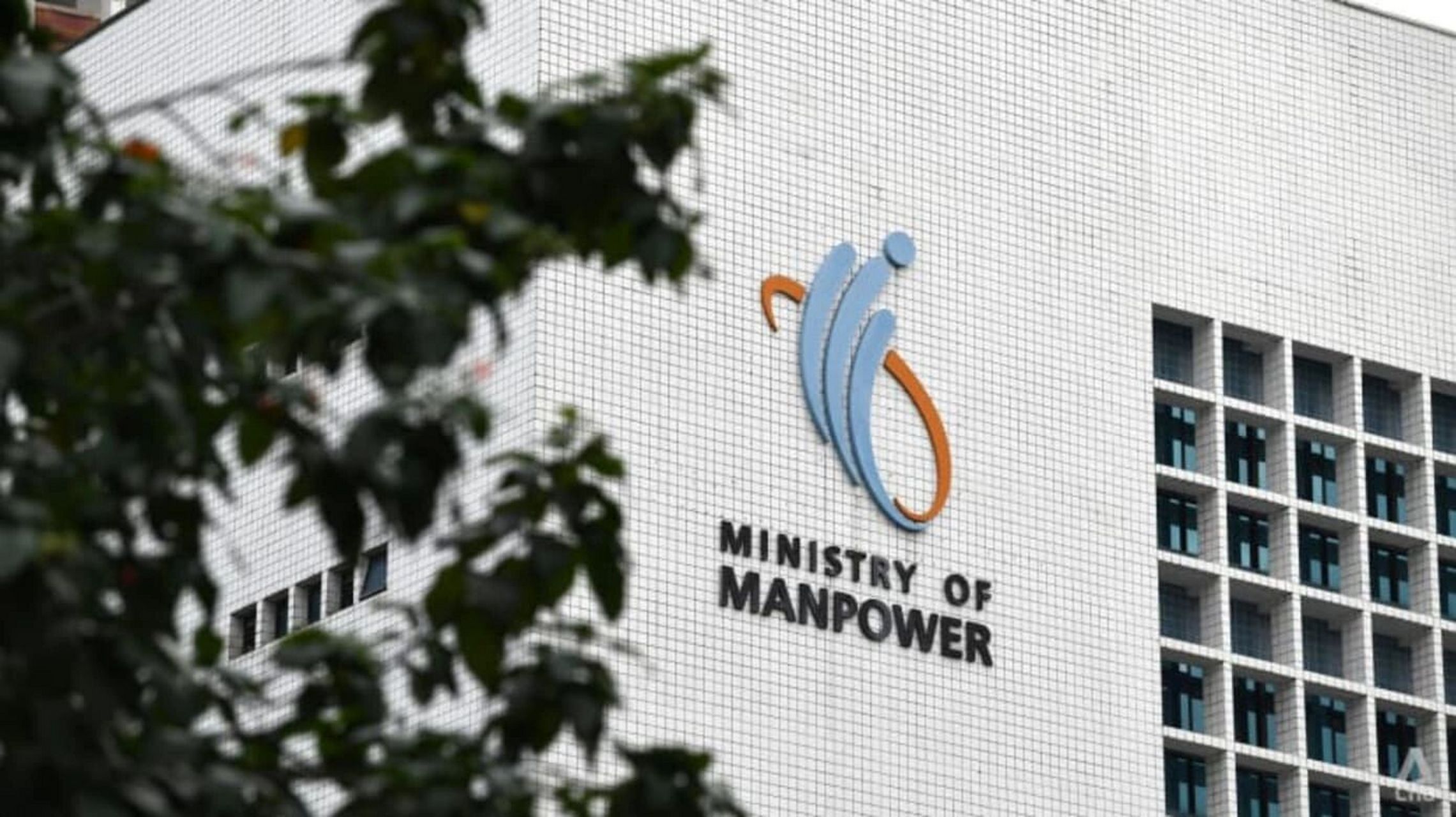 新加坡 人力部 mom 是什么?