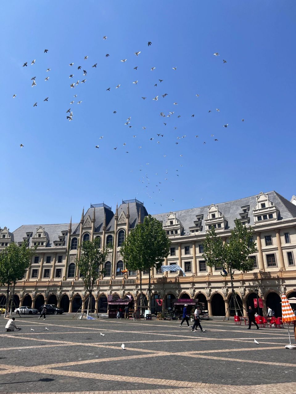 黄岛游玩推荐红树林度假世界7315 黄岛9915好去处9799