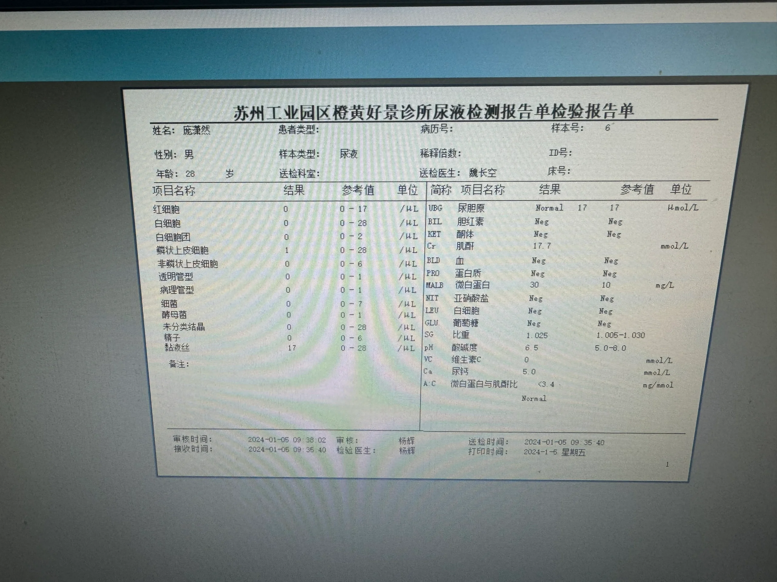 肌酐化验单图片