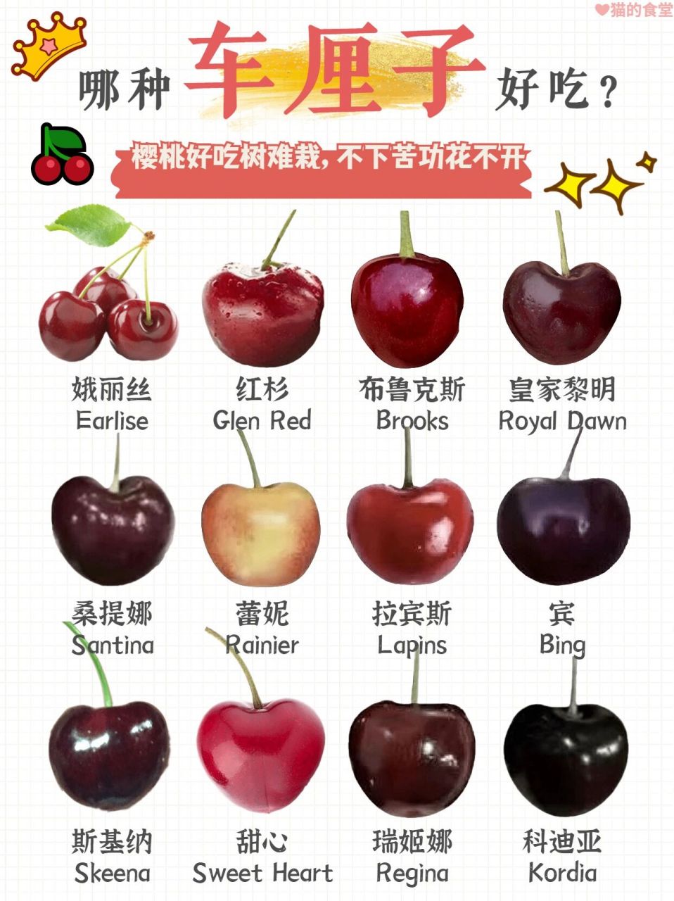 『🍒』常见车厘子的种类,带你车厘子自由 今年你实现车厘子自由了吗