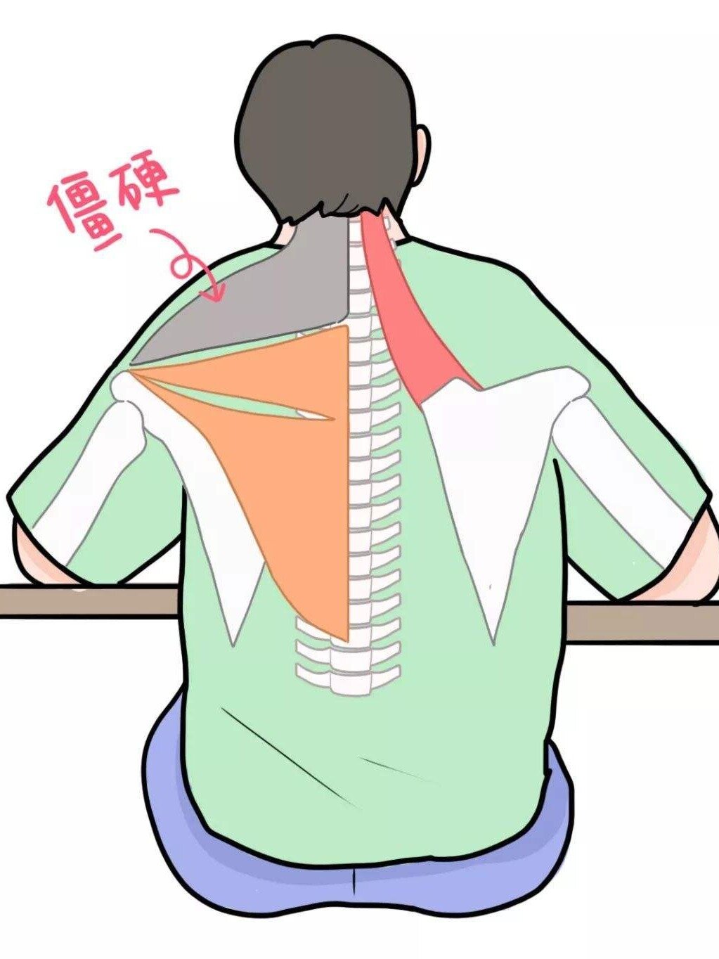 经常脖子僵硬身体后背酸痛是什么原因?收藏