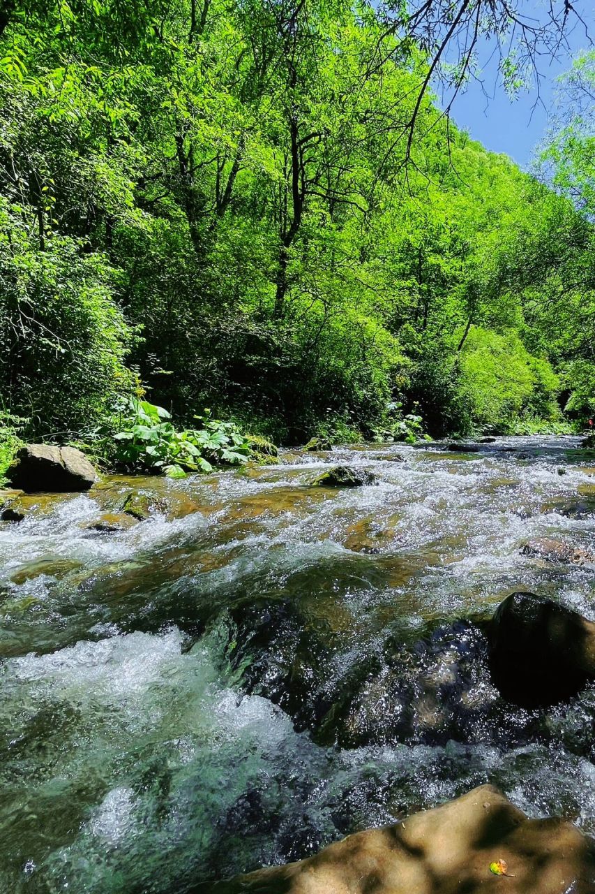 宁夏 |六盘山国家森林公园 自驾:周五下班银川出发到固原市区 大概四