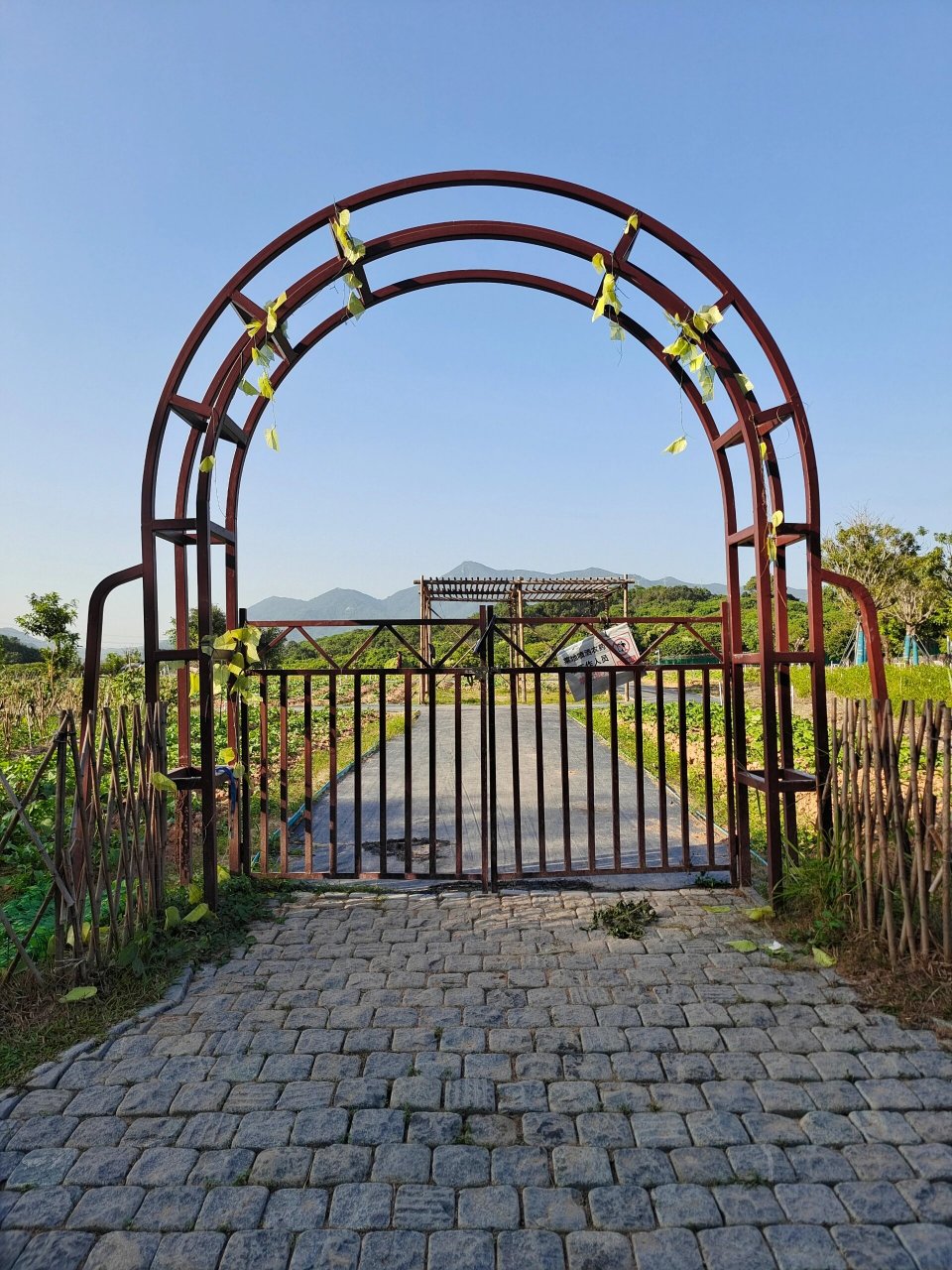 用力拥抱大自然～西丽湖度假村好chill~ 西丽湖度假村真的好chill