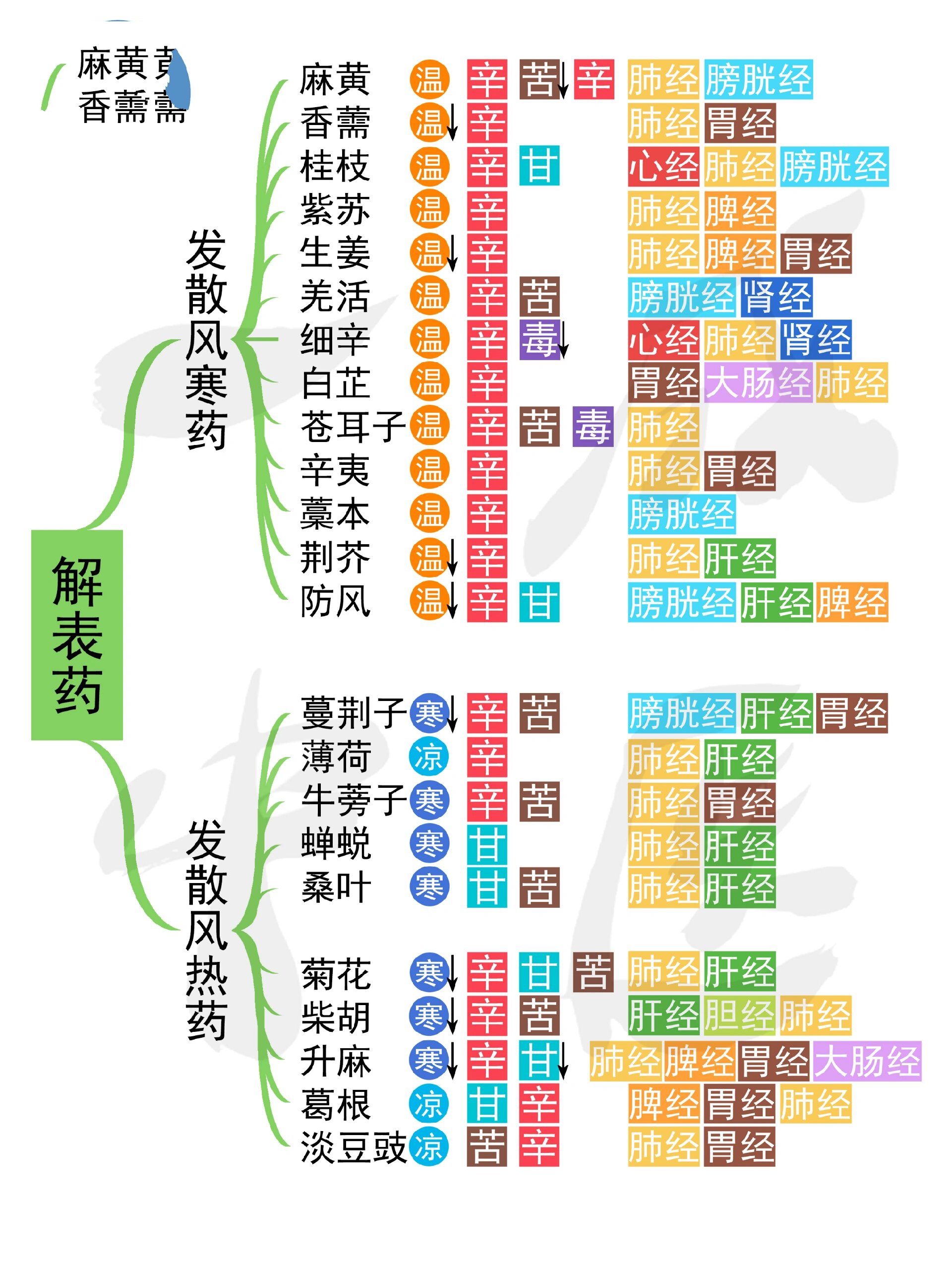 辛凉解表方剂大全图片