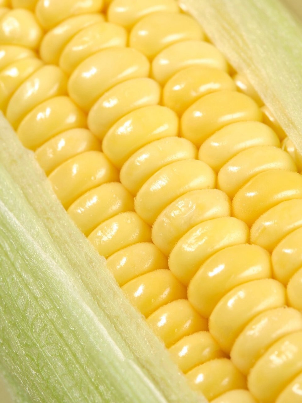 静物摄影|玉米99