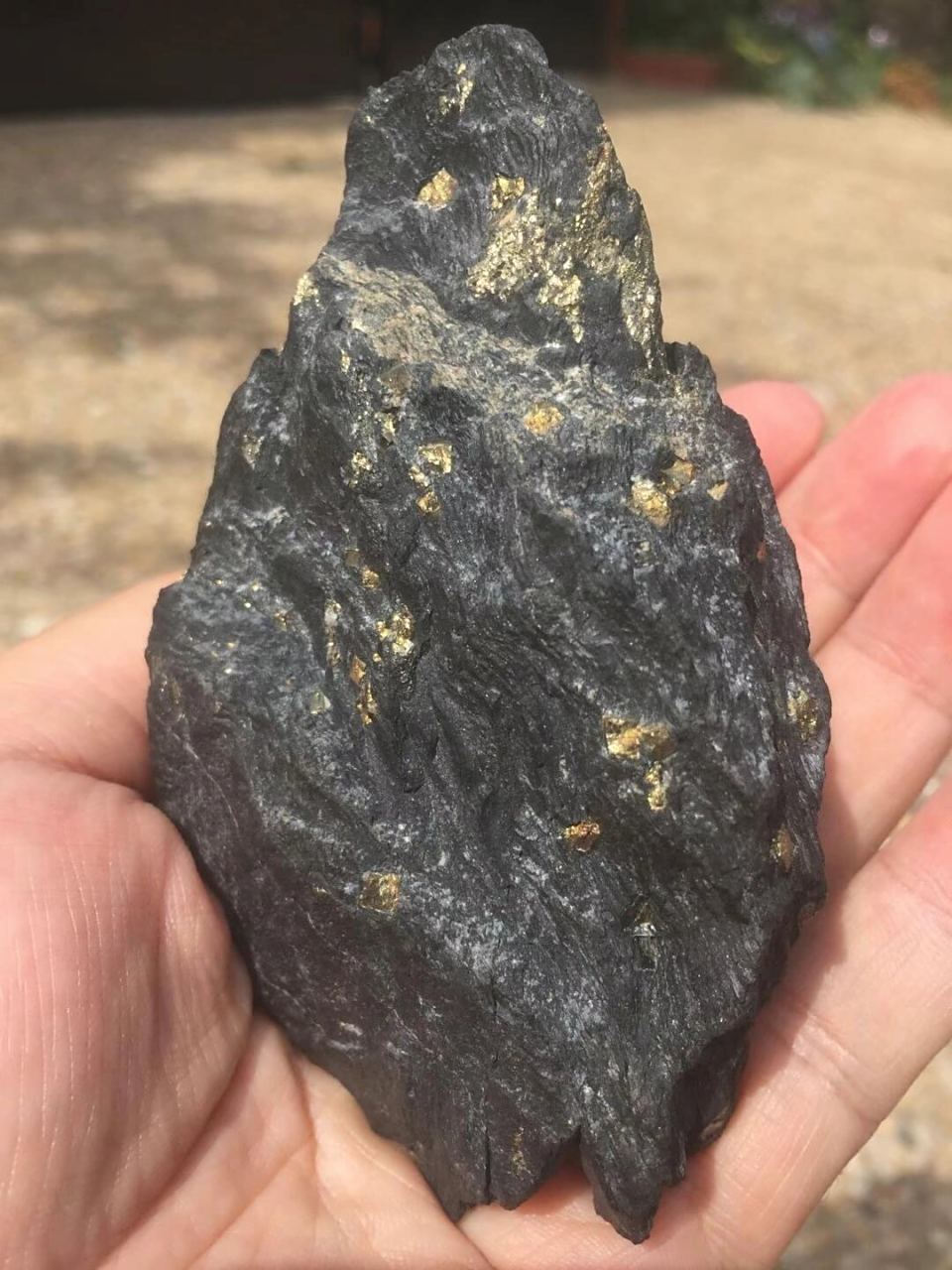 非洲金矿的黄金原石 第一次见