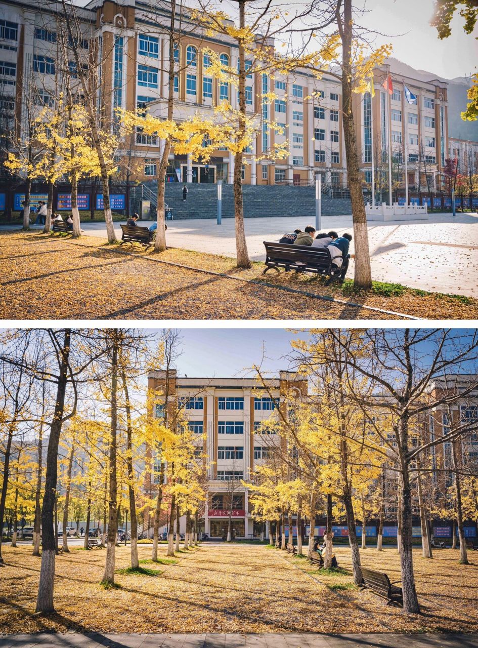 六盘水风光 | 贵州最美大学 | 银杏季-2022 2022|贵州最美大学 | 银杏