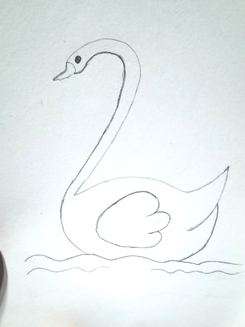 白天鹅 1.画一个数字2 2.画两个反向的小c,再画一个反向的大s 3.