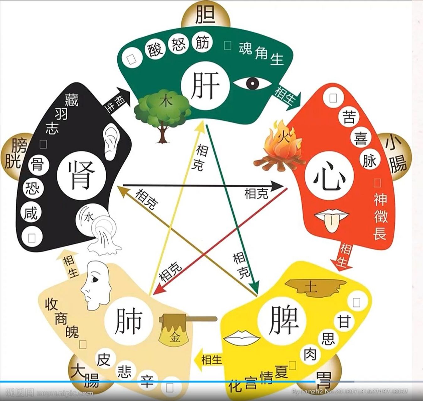 五行图相生相克 五行图相生相克