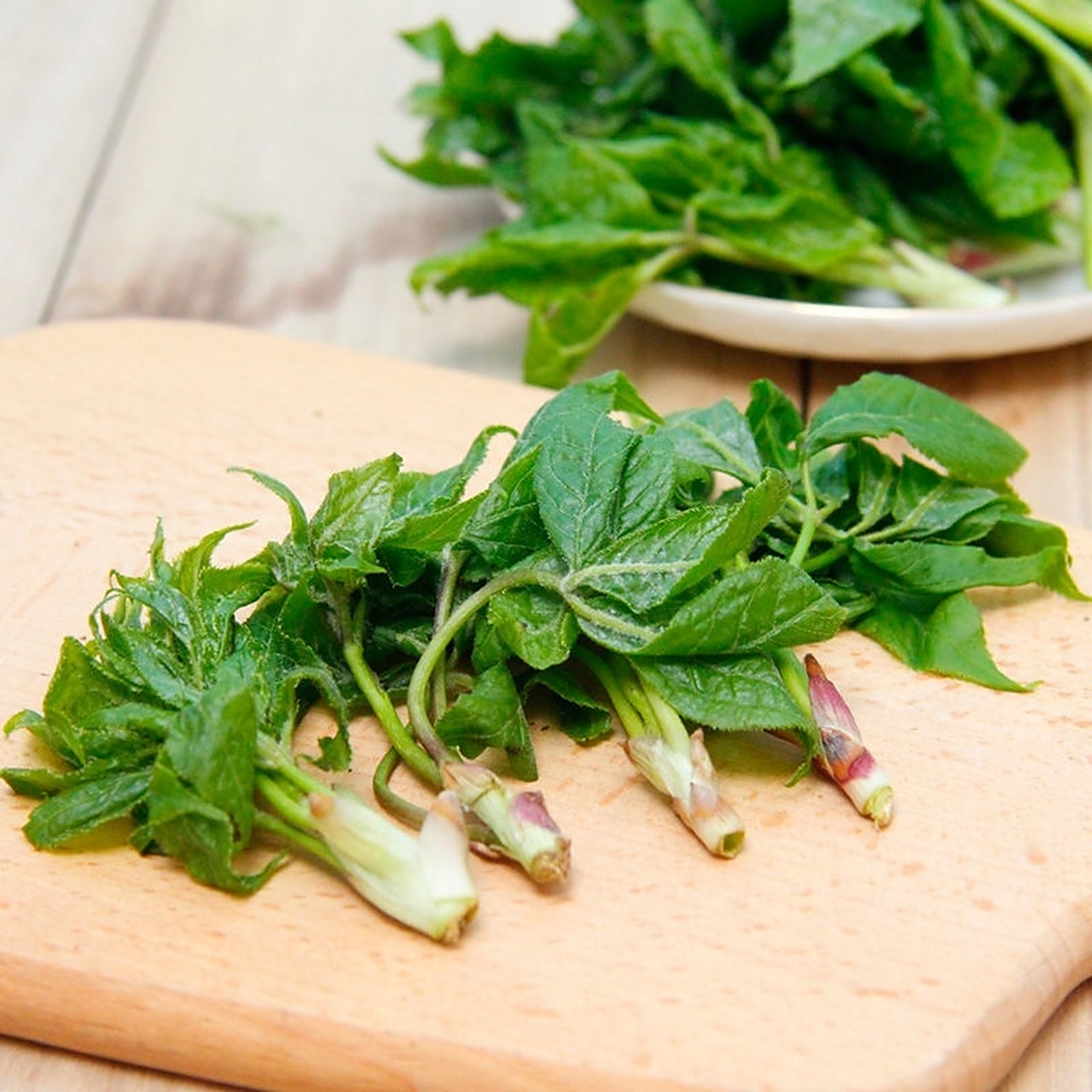 东北野生刺五加山野菜 长白山野生山野菜 ,软化心脑血管,喜欢吃的联系