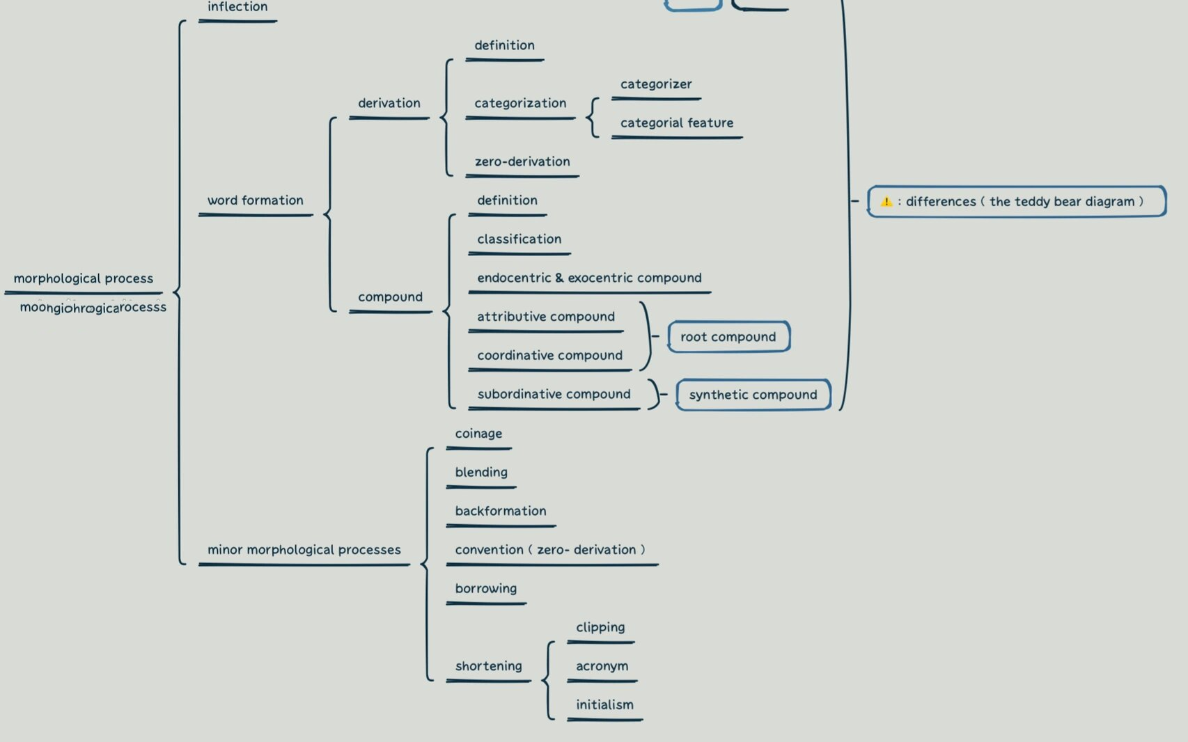 史上最全最清晰的形态学思维导图 🤩 快快学起来!
