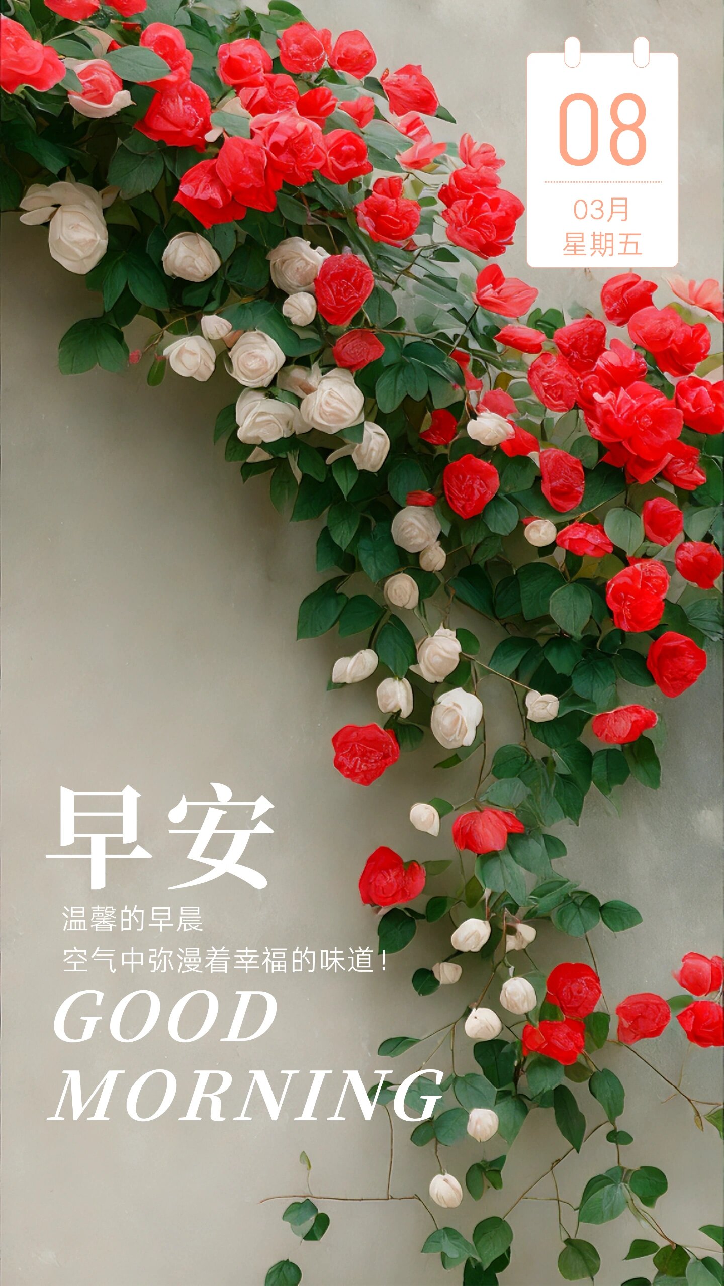 妇女节早安图片