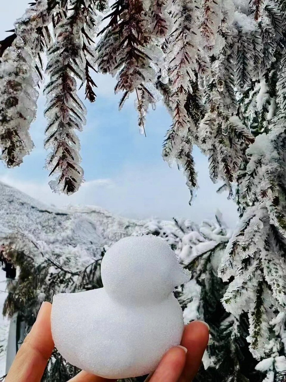 云冰山,在湖南省永州市蓝山县和广东省清远连州市之间,海拔1314米,不