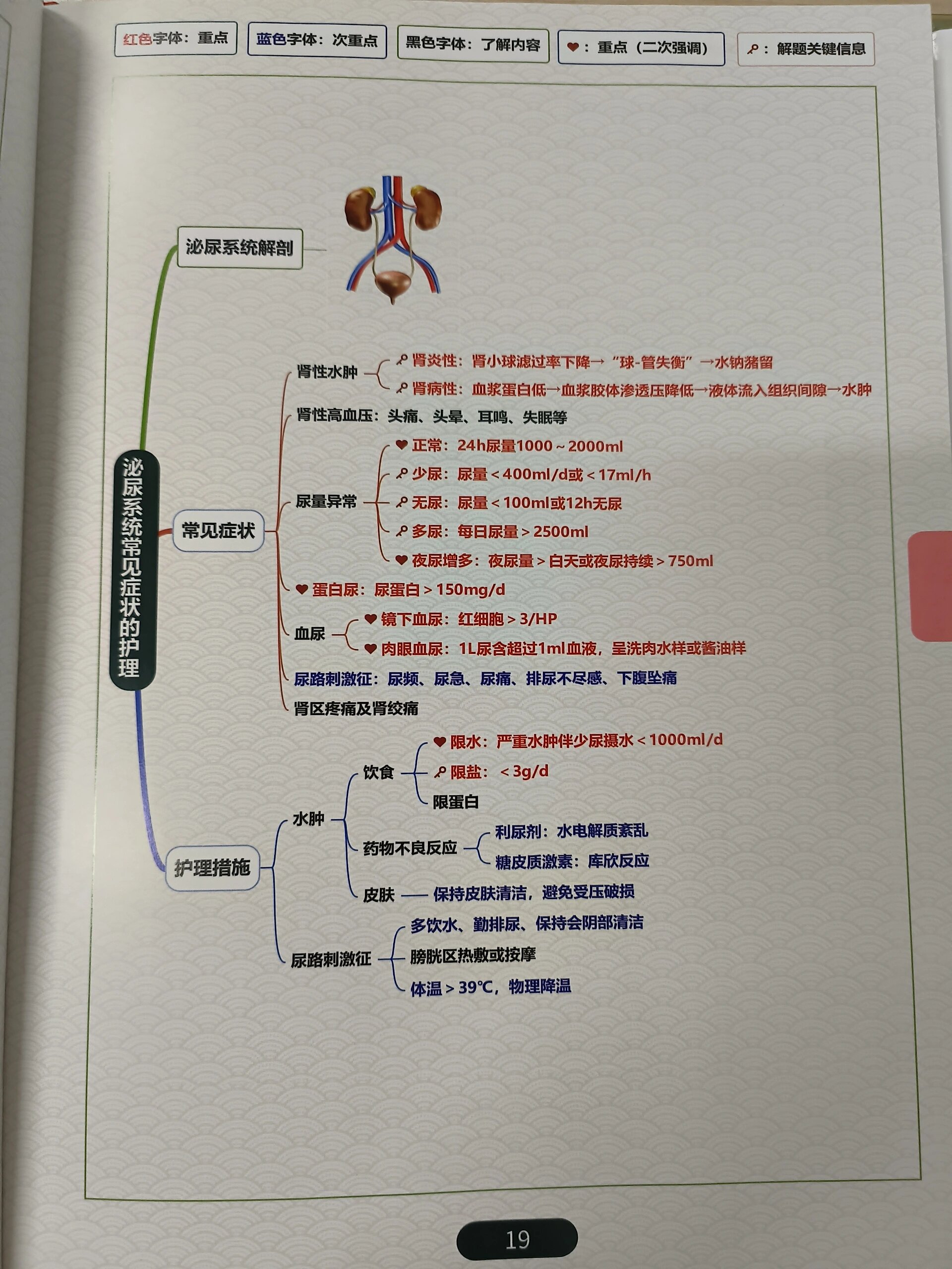 排便护理技术思维导图图片