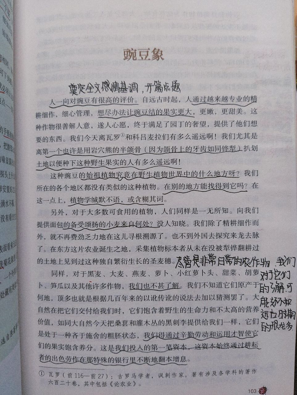 《豌豆象》批注上
