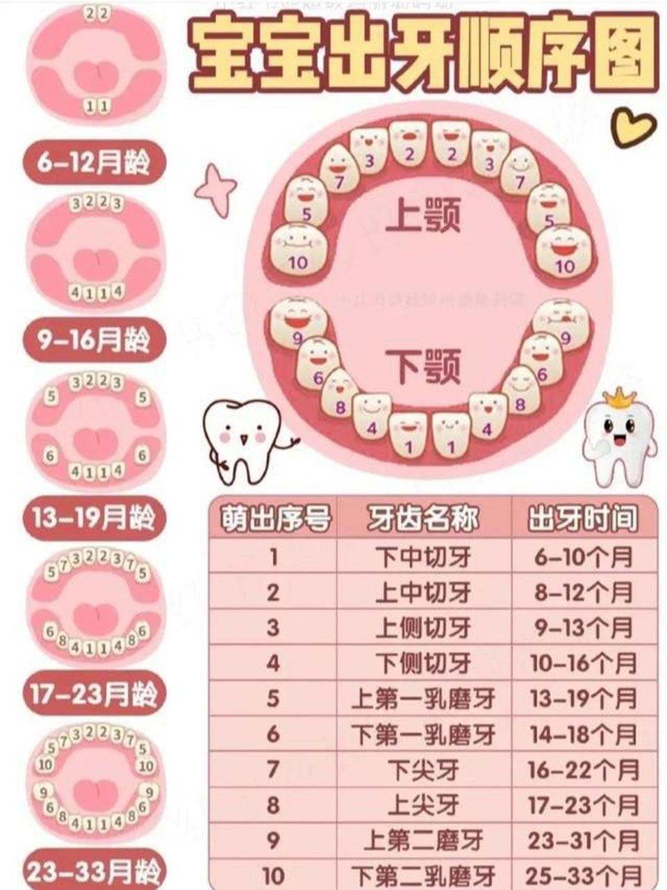 宝宝什么时候长牙正常,出牙顺序是怎样的?