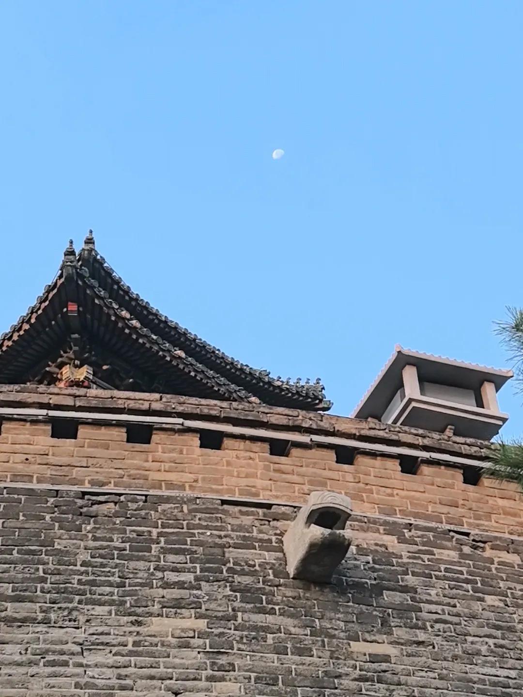 月色丛台20250814邯郸街景实拍