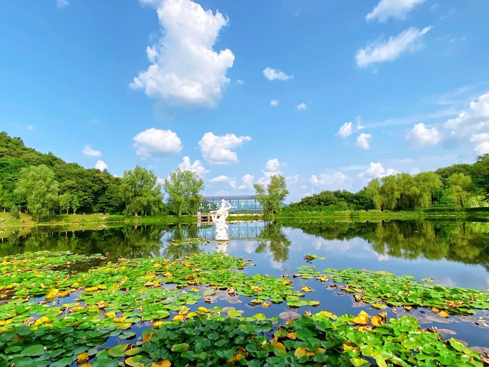 凤城市·大梨树生态旅游景区 凤城市·大梨树生态旅游观光区 大梨树