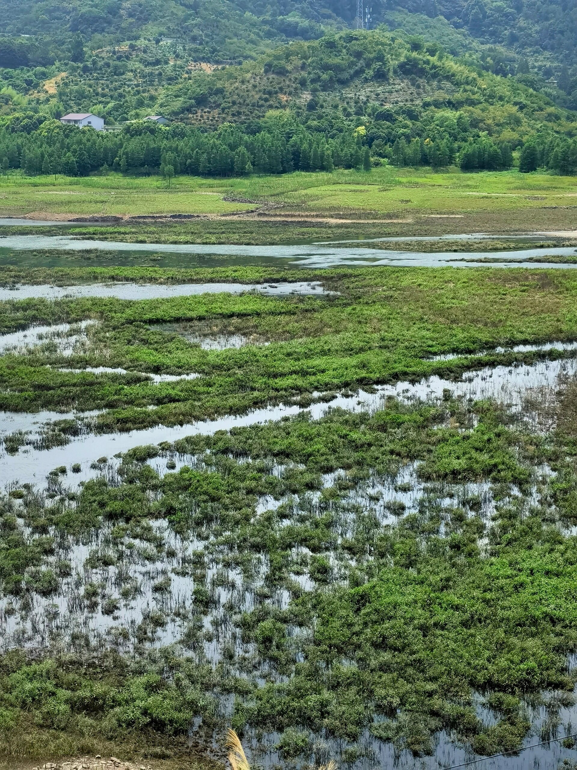 小森林 湿地 亭下湖岙底村 宁波奉化区亭下湖水库岙底村 水库最近水位
